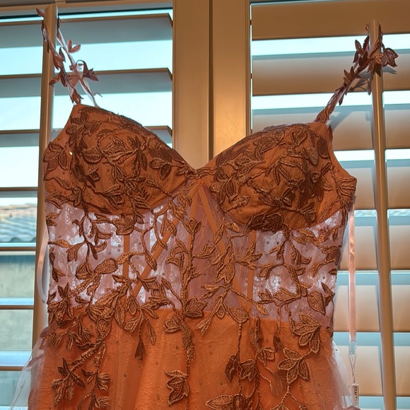 Elegant Peach Lace Prom Dress - Picture 2 of 5